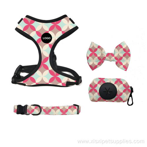 Dog harness Collar and Leash for small dog